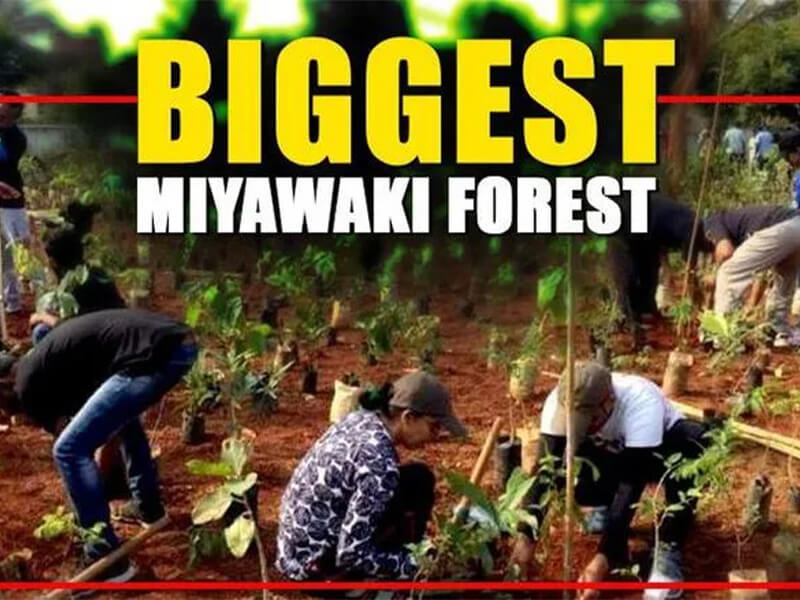 Greater-Noida-To-Have-India's-'biggest'-Miyawaki-Forest
